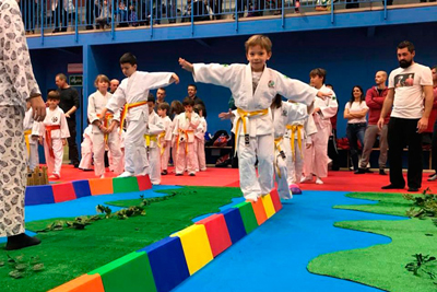 La Federación Madrileña pone en marcha el programa Judo Limpio