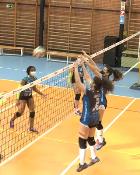 Madrid se Mueve TV - Programa 225