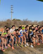 Madrid se Mueve TV - Programa 262
