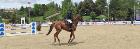 Madrid se Mueve TV - Programa 311