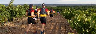 Más de 800 corredores disfrutaron de la 5ª Ribera Run Experience