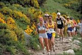 Campeonato de España de Carrera Vertical