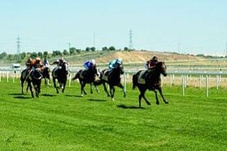 Temporada de invierno en el Gran Hipódromo
