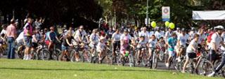 Majadahonda celebrará una nueva edición de la Fiesta de la Bicicleta 