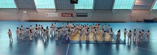 La localidad asturiana de Mieres acoge la Feria del Deporte y la Salud