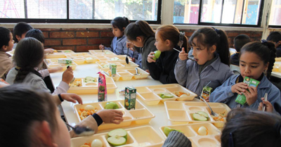Ponencias de la jornada europea de nutrición saludable en la infancia