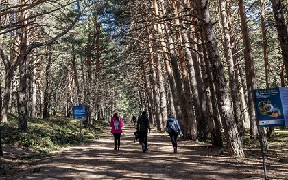 La Comunidad ofrece más de 70 rutas de senderismo por la región